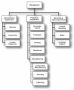 Organizational Chart Of A Company